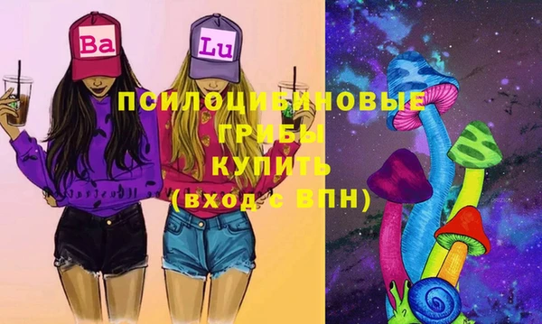 дживик Баксан