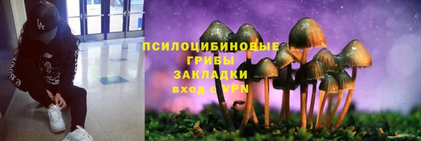 твердый Балабаново