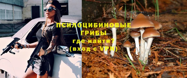 дживик Баксан