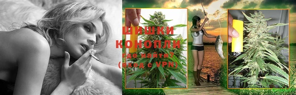 дживик Баксан