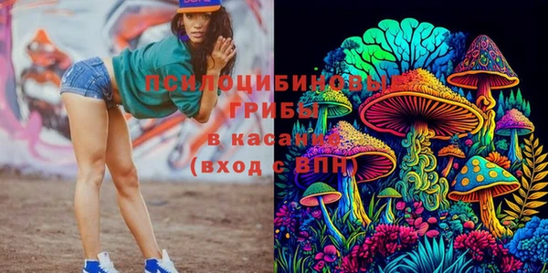 дживик Баксан