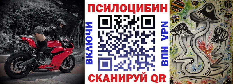 Галлюциногенные грибы Psilocybe  наркота  Ершов 